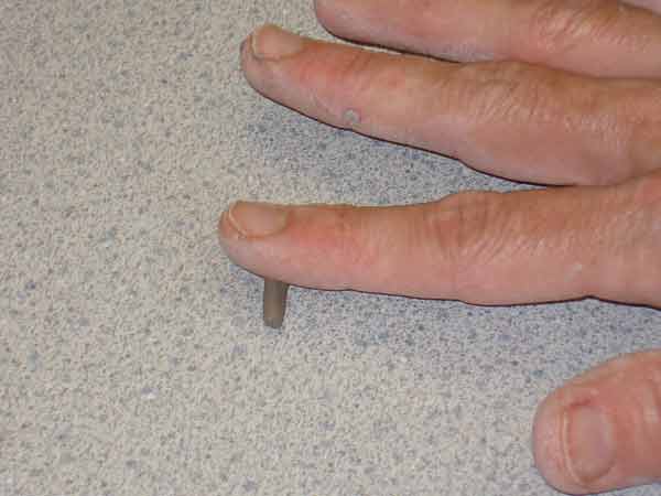 make hedge hog hedgehog spines